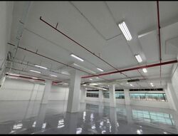 Lam Soon Industrial Building (D23), Factory #455138271